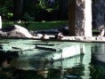 /album/zoo-/img-1914-640x480-jpg/